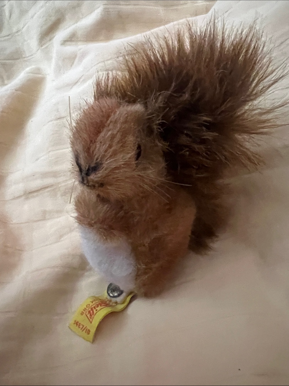 Steiff Squirrel - Picture 14 of 14